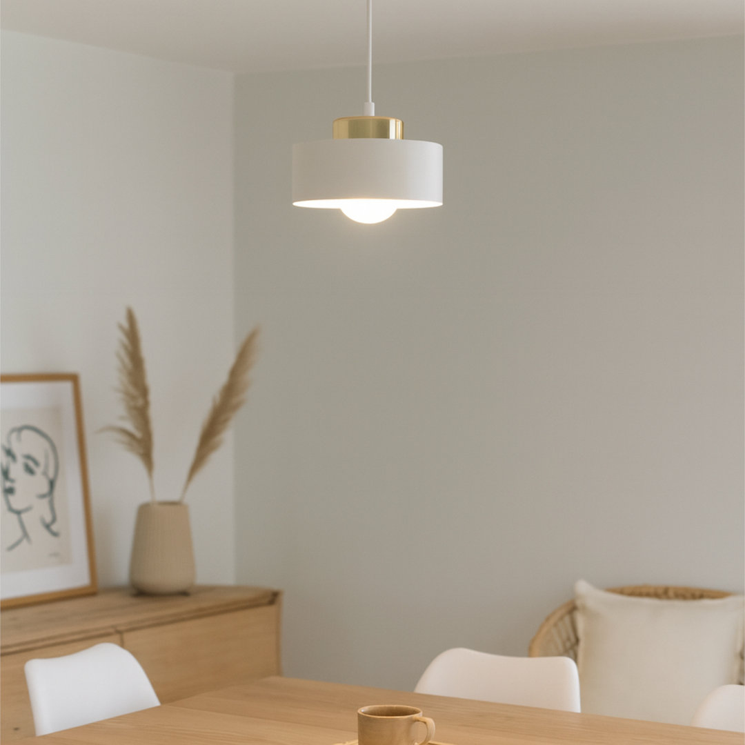 1 - Light Drum Pendant