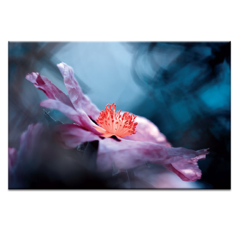 Print on Canvas, 102cm H x 152cm W, Wrapped Canvas