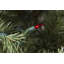 606'' String Lights-31889547