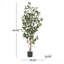 Abernethy Faux Bonsai Tree in Pot-1803665969