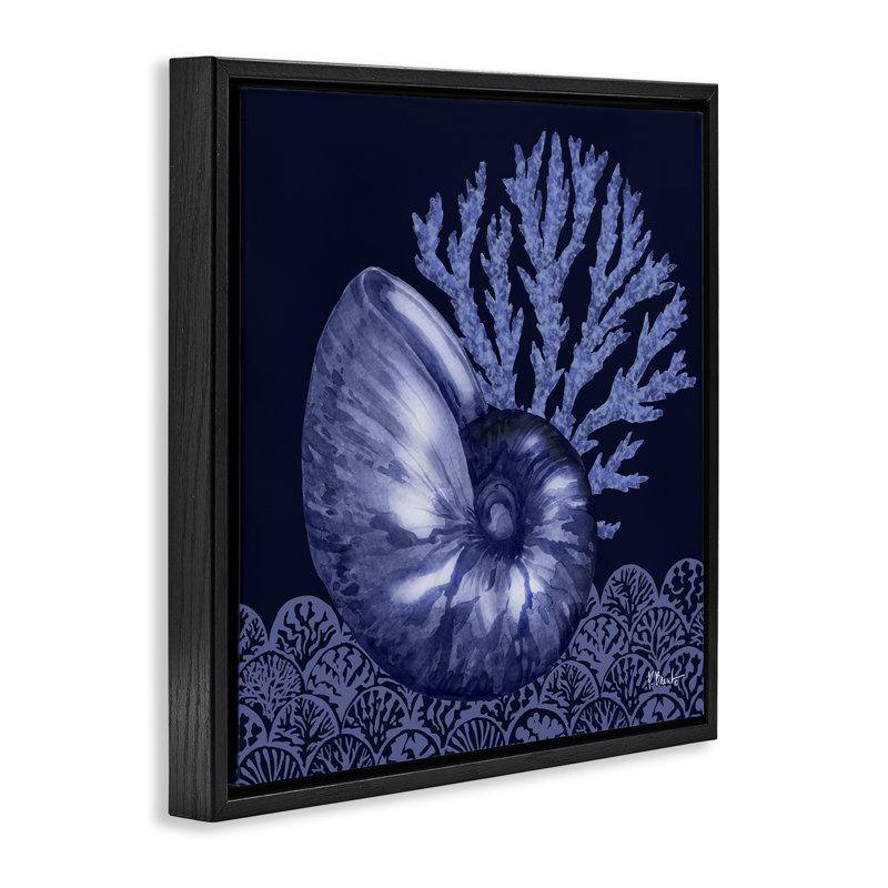  «Shadow Nautilus Shell Floater» par Paul Brent, Cadre flottant noir de jais, H 18 po x l 18 po