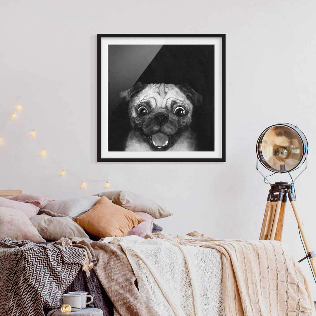 Gerahmtes Poster Illustration Hund Mops auf Schwarz Weiß