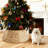 Christmas Tree Collars