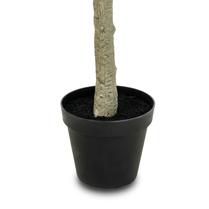 Faux Eucalyptus Tree-Faux Eucalyptus Tree-9', 107" H x 50" W