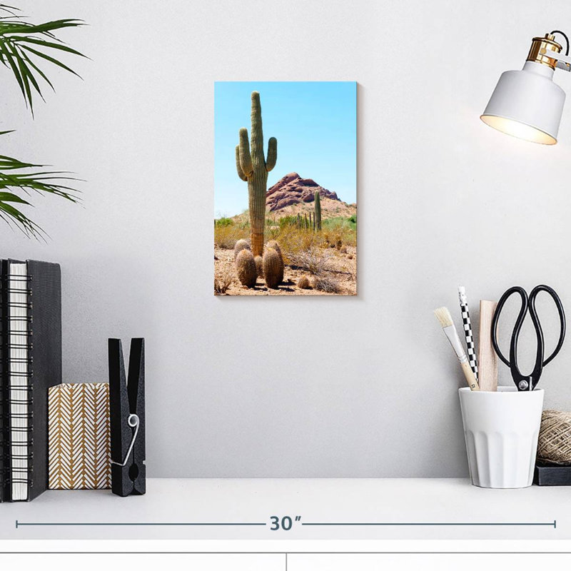 Harnek le cactus géant, H 12 po x l 8 po