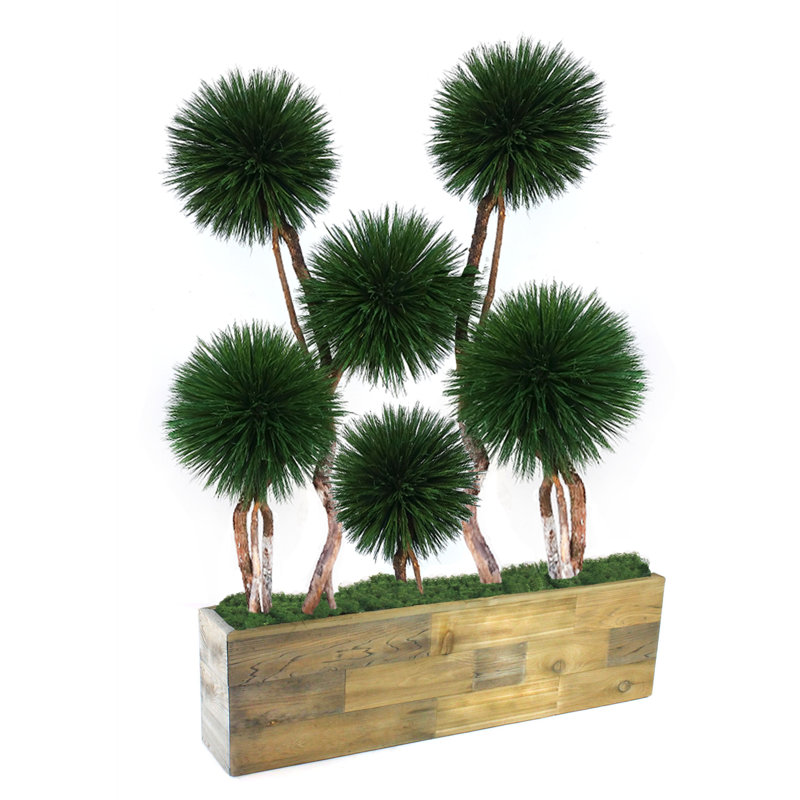 Exclusif pot à fleurs en bois Dracena