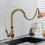 Fairmont Park Osterdock Pull Out Kitchen Faucet