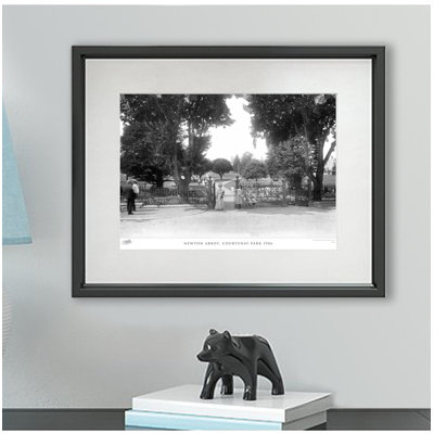 Newton Abbot, Courtenay Park 1906 by Francis Frith - Single Picture Frame Print
