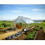 Greenhouse-96230557-96230559