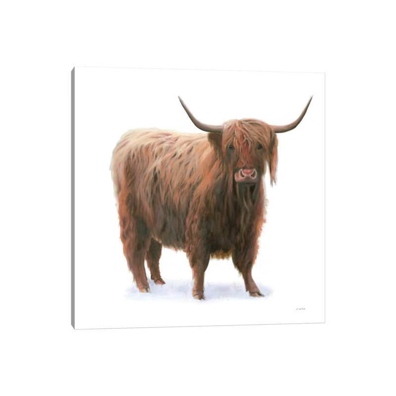 King Of The Highland Fields On White by James Wiens - Wrapped Canvas Print, 45.72 cm H x 45.72 cm W x 1.91 cm D