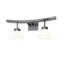 2 - Light Vanity Light