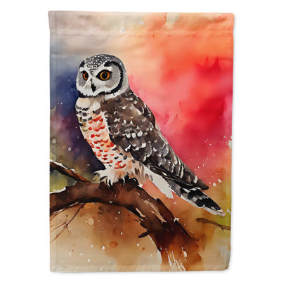 Drapeau Northern Hawk Owl House_DAC3243