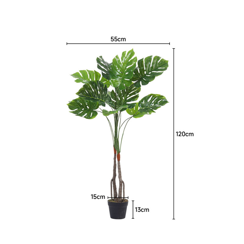 120cm Plant