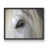 Noir, noir, noir, noir