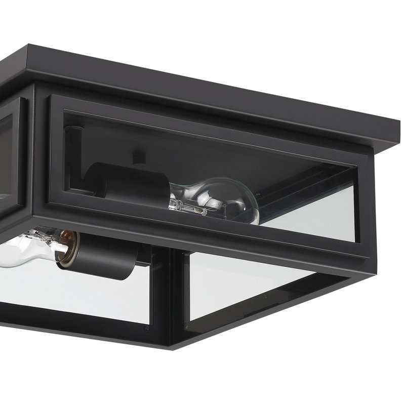 Matte Black and Clear Glass 2-Light Outdoor Flush Mount