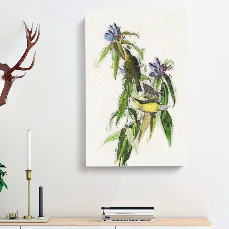 Connecticut Warbler Birds by John James Audubon - Wrapped Canvas, 60cm H x 40cm W x 3cm D
