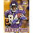 NFL Minnesota Vikings