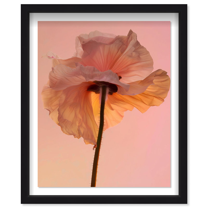 Amber Radiance IV Shadowbox Floral & Botanical Print by Oliver Gal, Black Frame, 16 x 20, 25.5"H x 31.5"W, Black Shadowbox