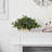 14 " H Faux Ivy Plant