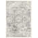 Shockey Floral Indoor Rug