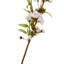 Fiori Cherry Blossom Arrangement