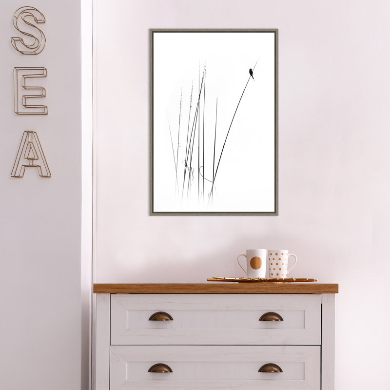 Un sabbat (oiseau) par Swapnil. - Cadre flottant, reproduction d'art sur toile