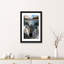 « loup » par paul haag-impression sur image-49716991-49716990