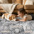 Dagmar Area Rug Living Room Rugs - Large Soft Indoor Neutral Modern Abstract Low Pile Washable Rug Carpet for Bedroom Dining Room Farmhouse Home Office-755991378-750314836