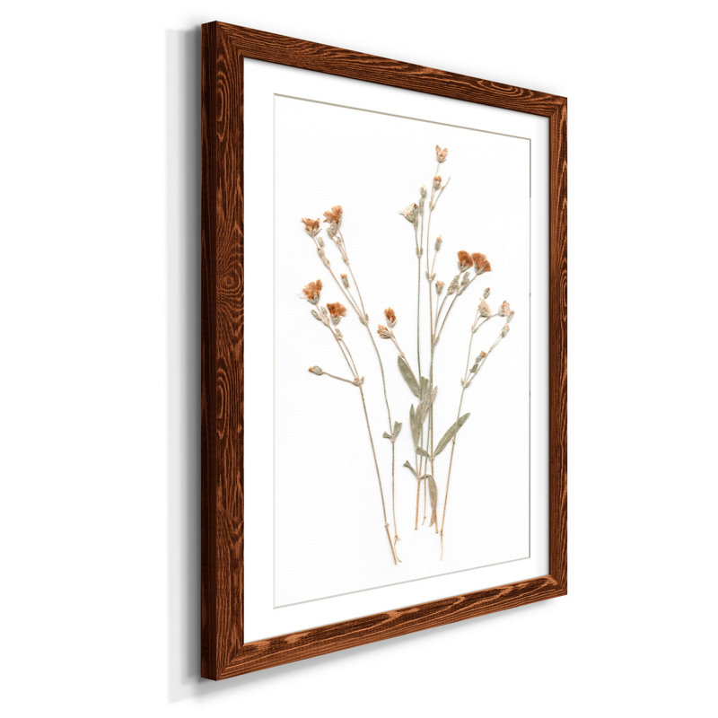 Pressé botanique I - impression, H 37,5 po x l 27,5 po x P 1,5 po, Érable
