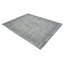 Samantha Oriental Area Rug in Pewter-64522871