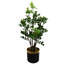 Eucalyptus Arrangement in Pot