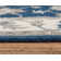 Molly Floral Indoor Rug
