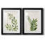 «Botanical Wash I», ensemble de 2 reproductions d'art sur toiles-455244318-455244319-455244317