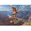Krum 38'' H Metal Animals Weathervane-415433242