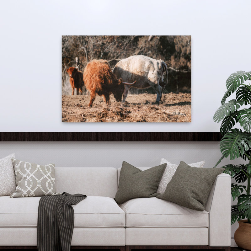 Highland Fight, abstrait, vache, paysage naturel, art, H 48 po x l 32 po