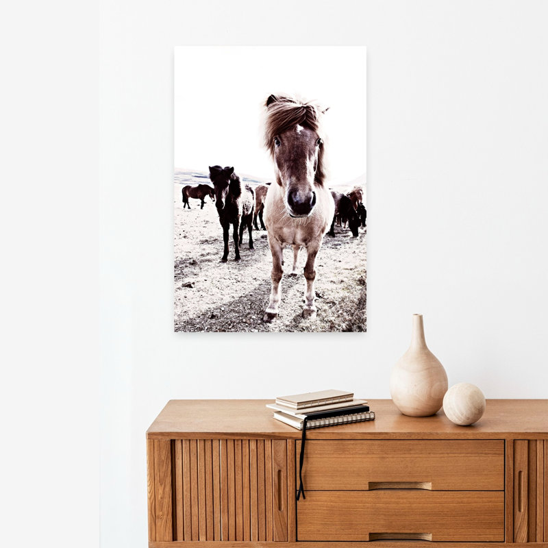 Islande, cheval, Rikka, art contemporain cheval