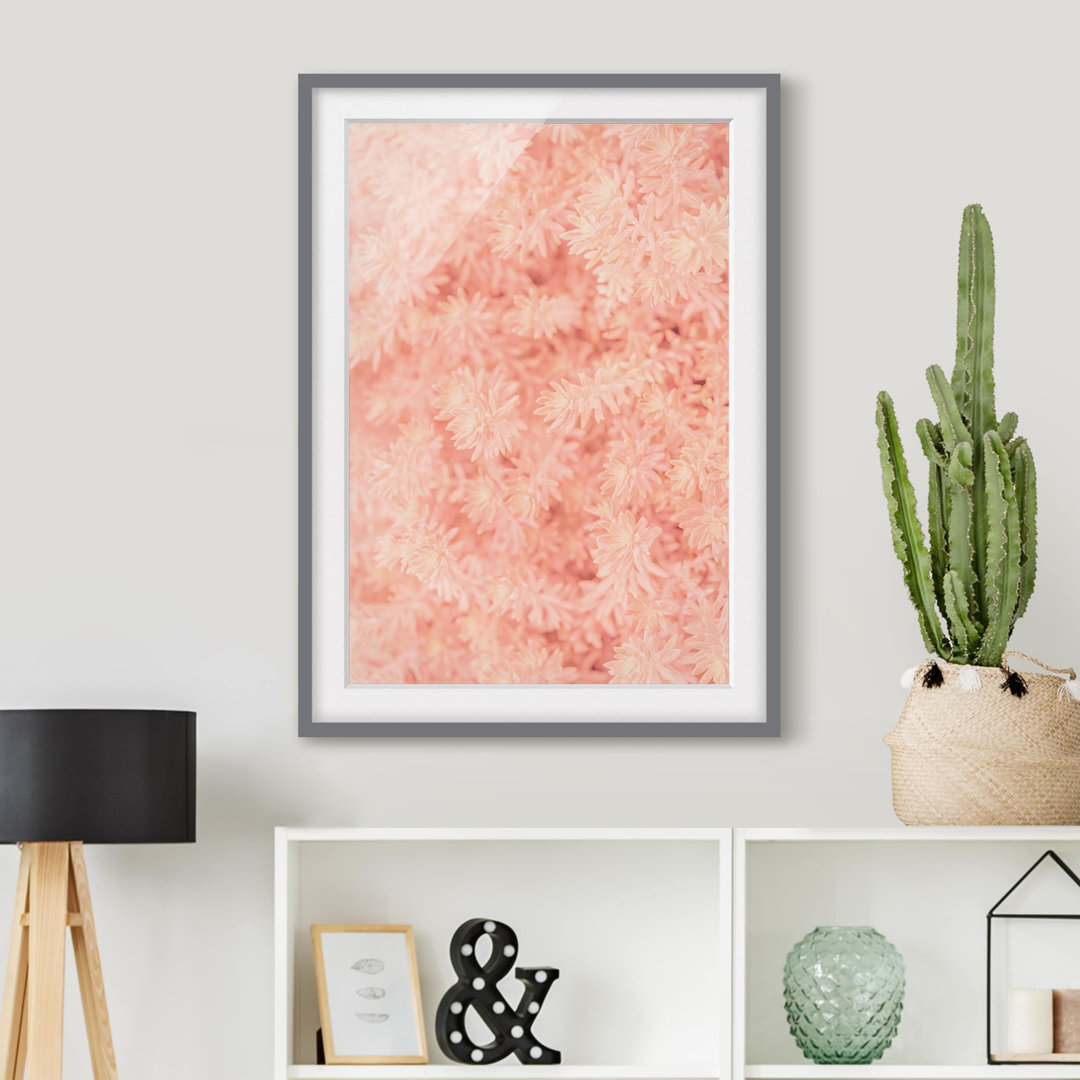 Gerahmter Fotodruck Pink Rosemary