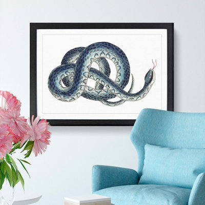 Blue Snake by George Shaw - Framed Print