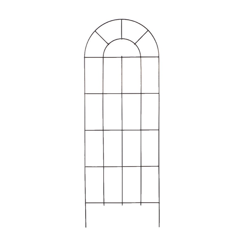Kegan 24'' W Metal Arched Trellis, 4'