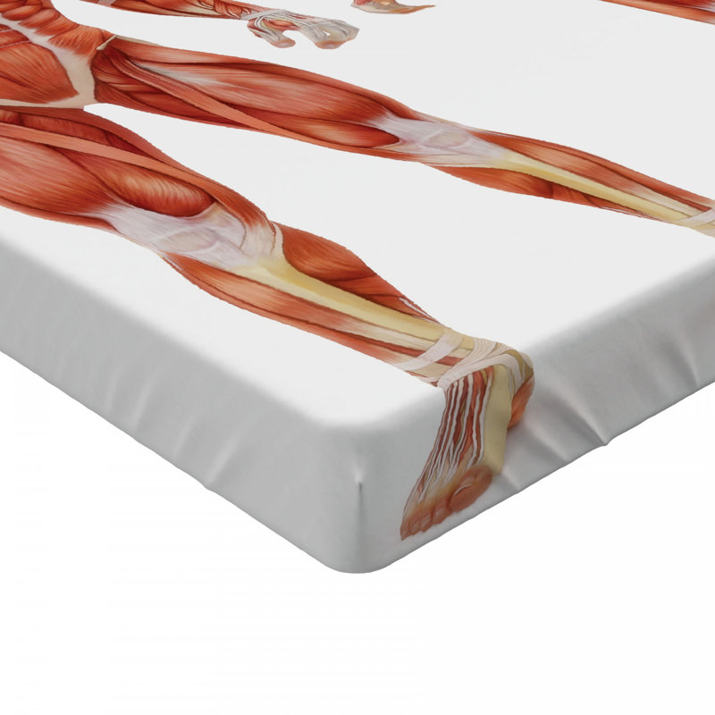 Microfiber Fitted Sheet, Full Fitted Sheet