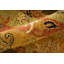 Tapis damassé transitionnel Namche-1844186118-1844186169