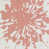 Blossom