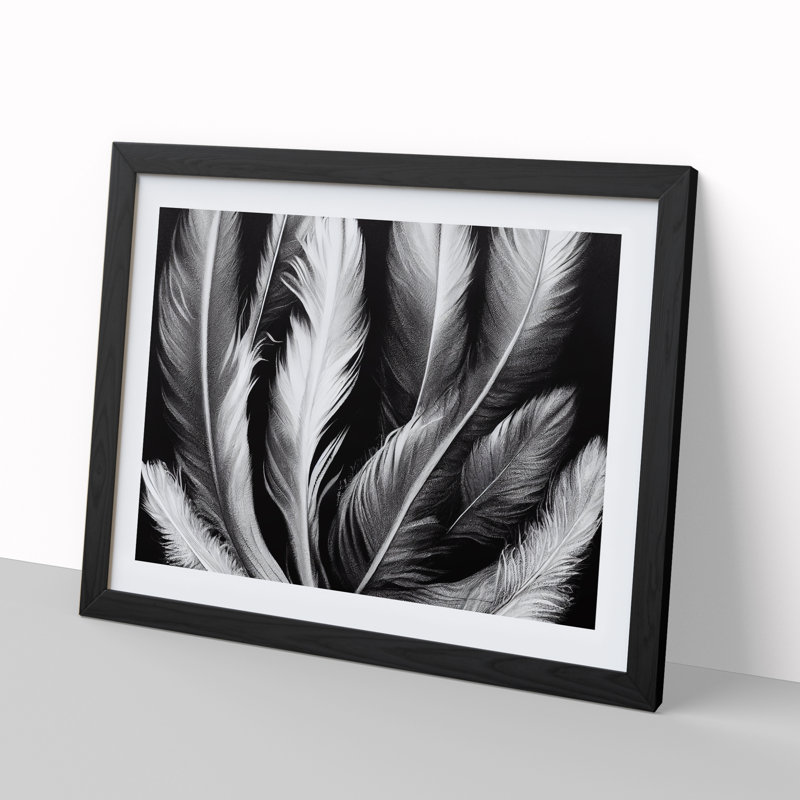 Inconceivable Bird Feathers 1 Piece Single Picture Frame Wall Art, 25cm H x 34cm W x 2cm D, Black