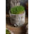 Caines Pot Planter-749072896