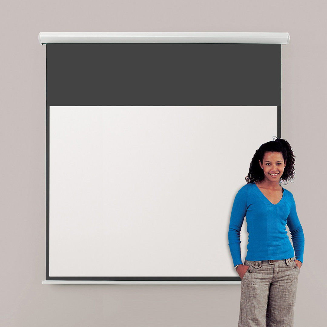 Symple Stuff Electric Projector Screen Projector Screen