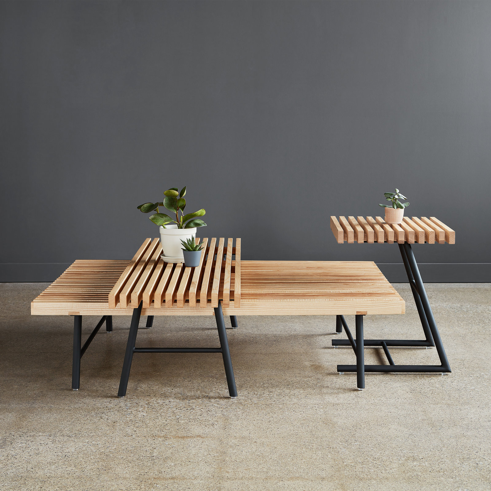 Modern Transit 48" Entryway Bench, Ash Natural