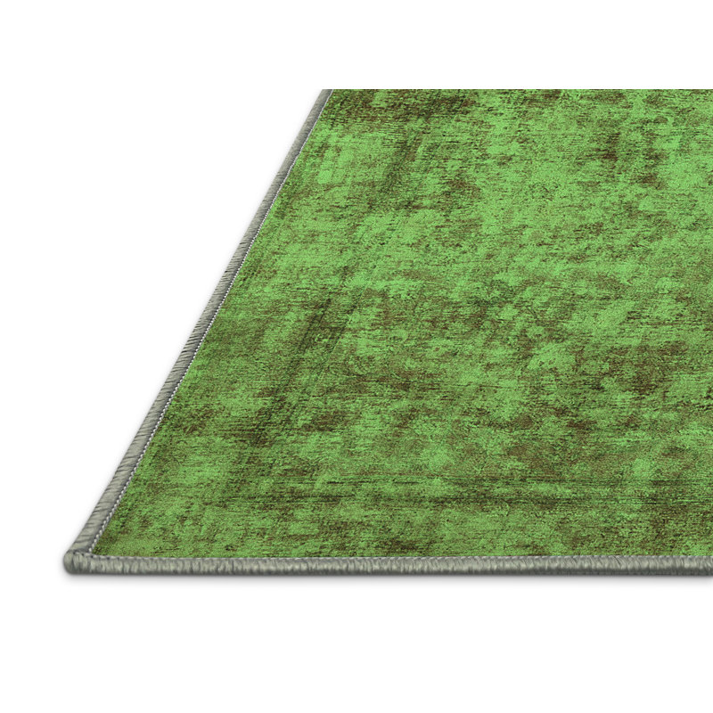 Emara Washable Abstract Indoor Rug, Rectangle 4' x 6'