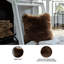 Coussin Bellethrone (ensemble de 4)