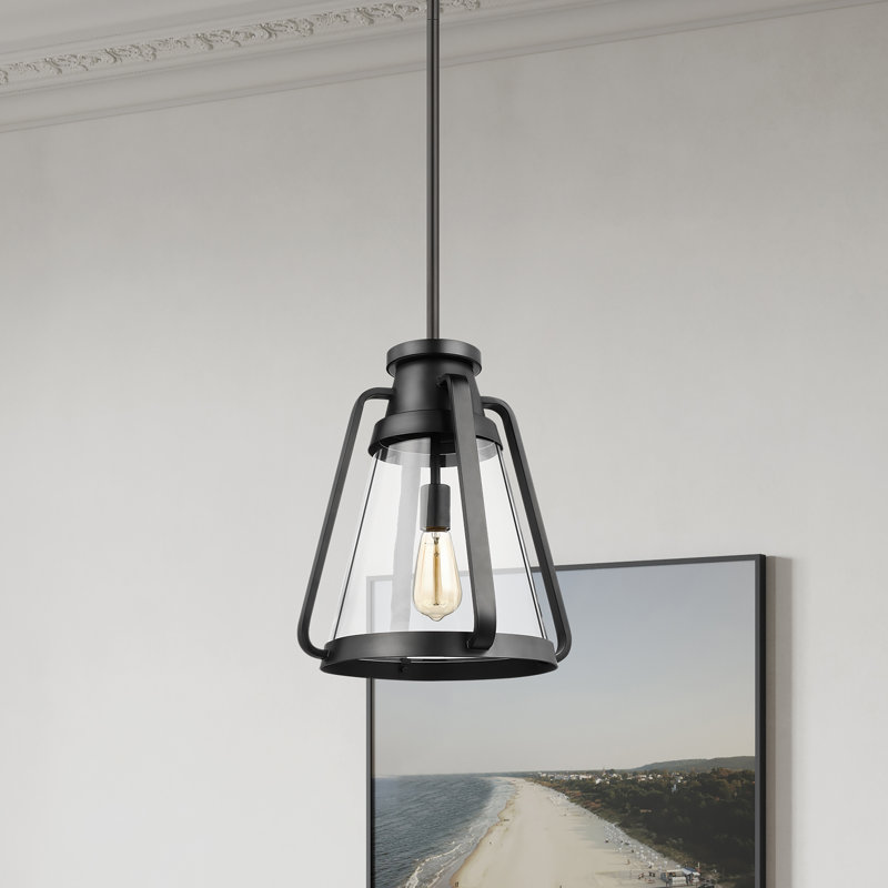Iola 1 - Light Single Pendant, Matte Black, 11.88" H x 10" W x 10" D