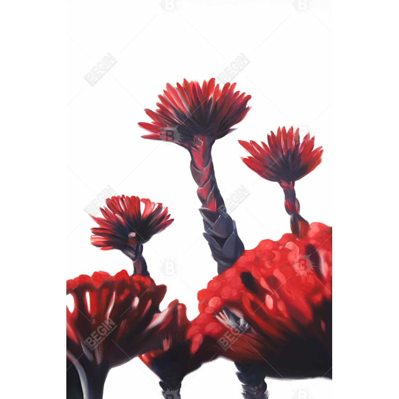 " Red Tropical Flowers "